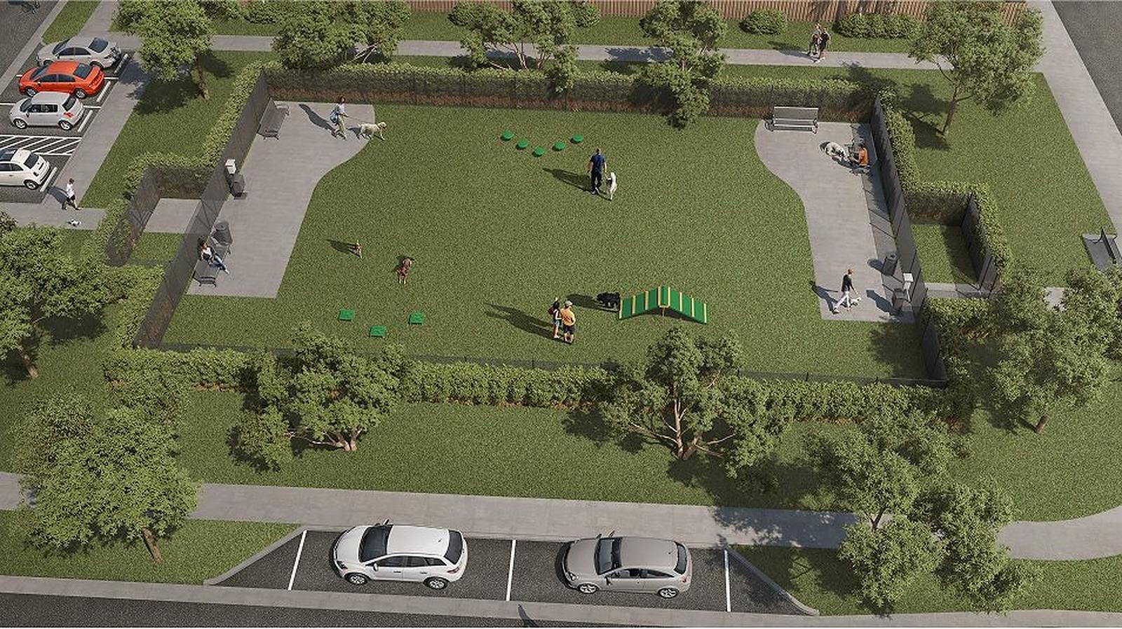 Dog park